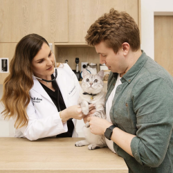 Small Door Veterinary